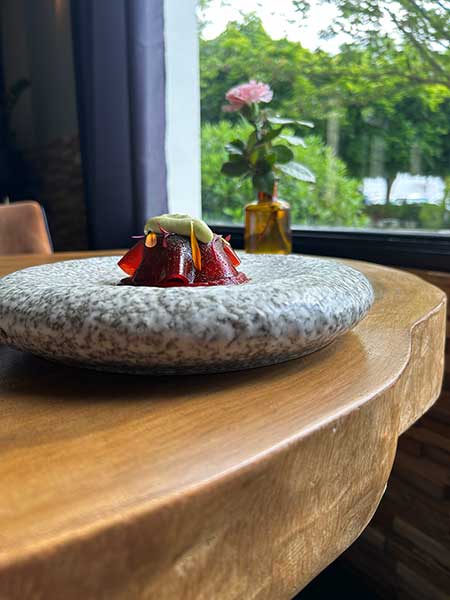 Dîner Unique avec Disent-Elles le vendredi 13 décembre 2024 à 20h | Roselières restaurant gastronomique